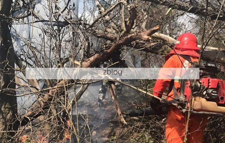 庐江：巢湖屏障下的疫情防波堤与社区破防时刻