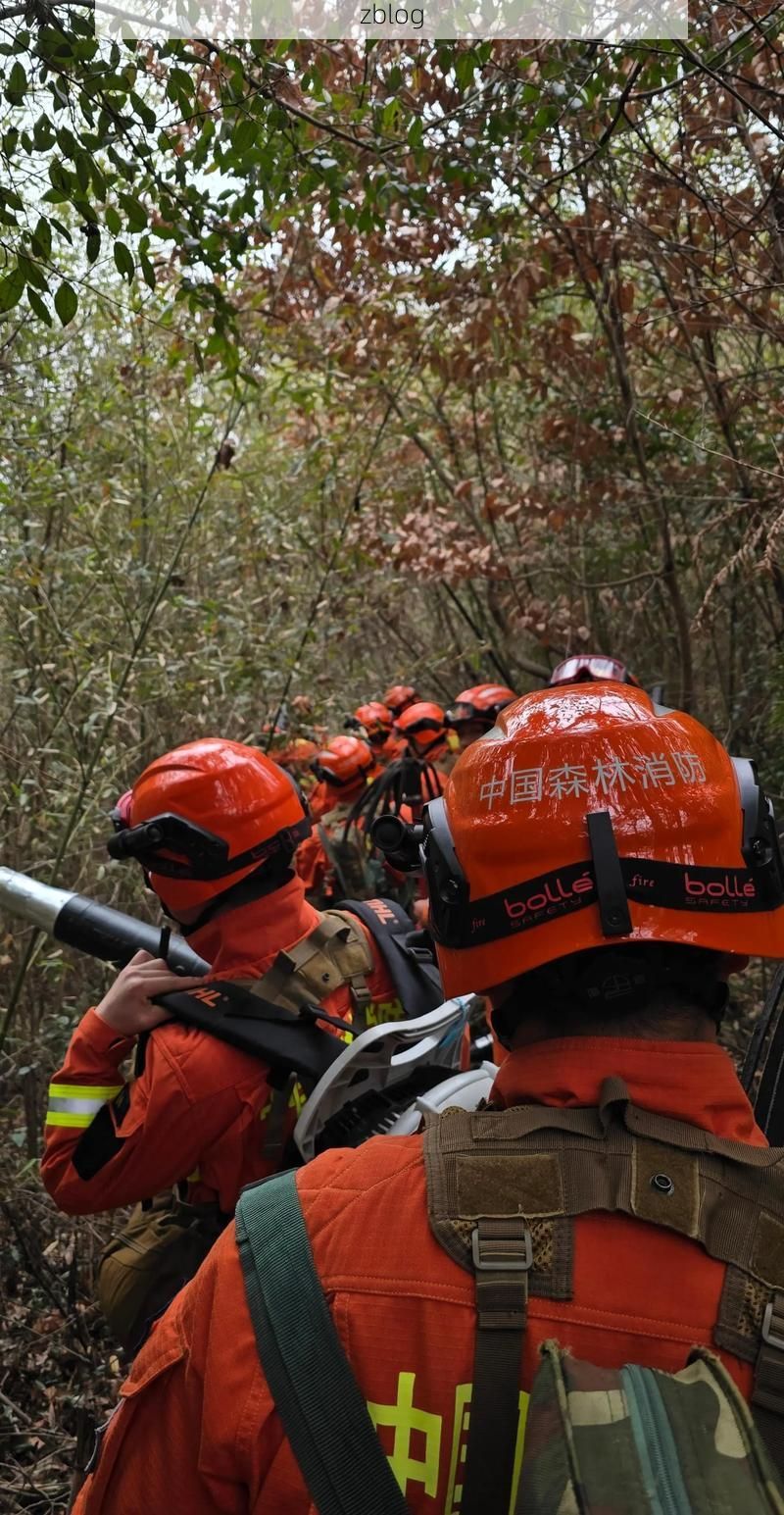 【务川：黔北山区的零感染坚守与物理防线】