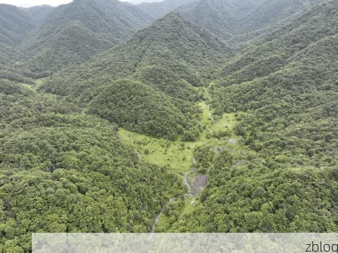 郧西县：秦巴山区的零感染防线何以筑成？