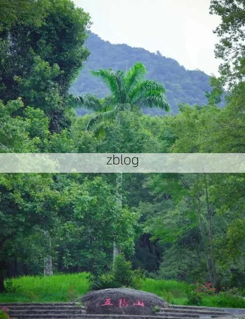 保亭热带雨林屏障下的零感染坚守