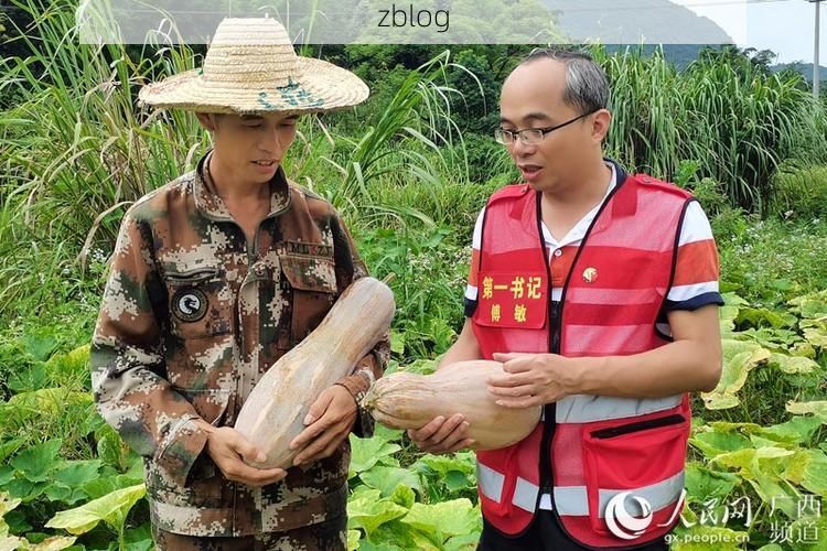 鹿寨：喀斯特地貌下的县域防疫样本解析