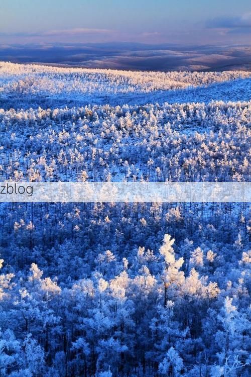 牙克石：林海雪原屏障下的零感染坚守_59986