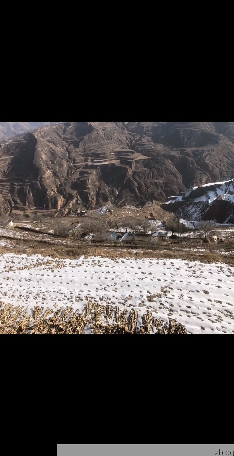 榆林：黄土高原屏障下的零感染坚守_82754