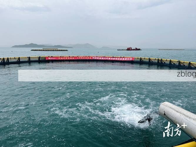 陆丰疫情透视：沿海渔港的防疫破口与围堵