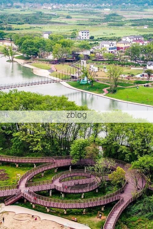 柯城样本：衢江之畔的疫情防波堤如何筑成？