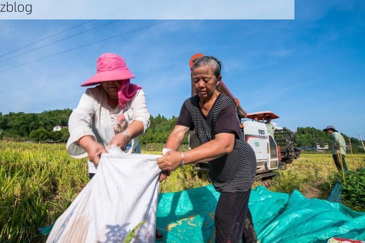 大英县：川中丘陵下的疫情防线与零星破防_79970