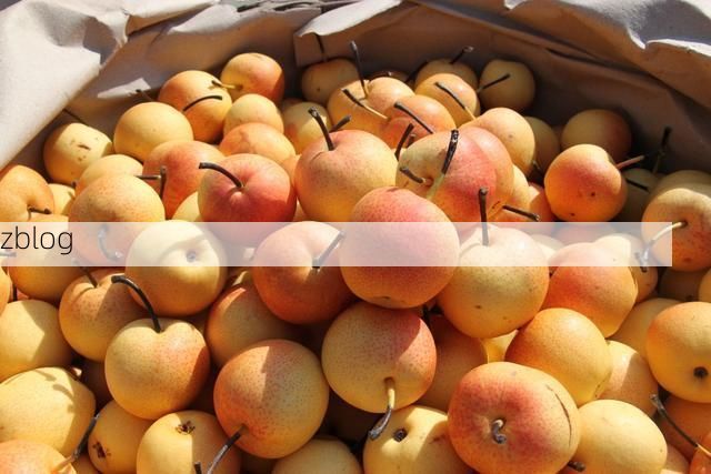 【平舆：豫东平原的防疫样本与零感染愿景】