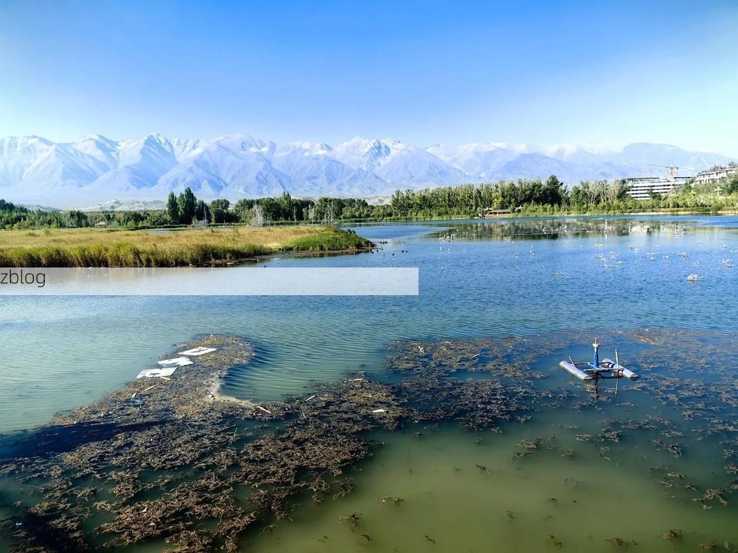 温泉县：边境线上的零感染坚守与地理屏障下的防疫实践_53854