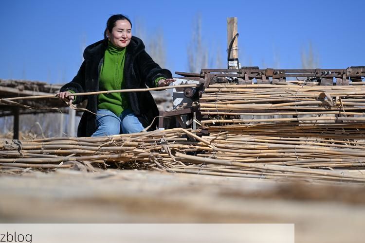 墨玉县零感染观察：塔克拉玛干边缘的防疫坚守