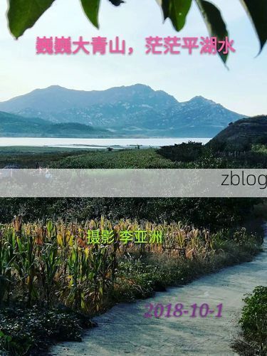 兴城临海屏障与社区隐匿传播的防疫博弈