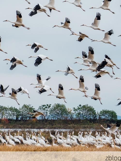 【余干：鄱阳湖畔的防疫坚守与零感染破防时刻】