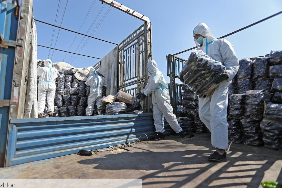 台安：辽河平原上的县域防疫样本