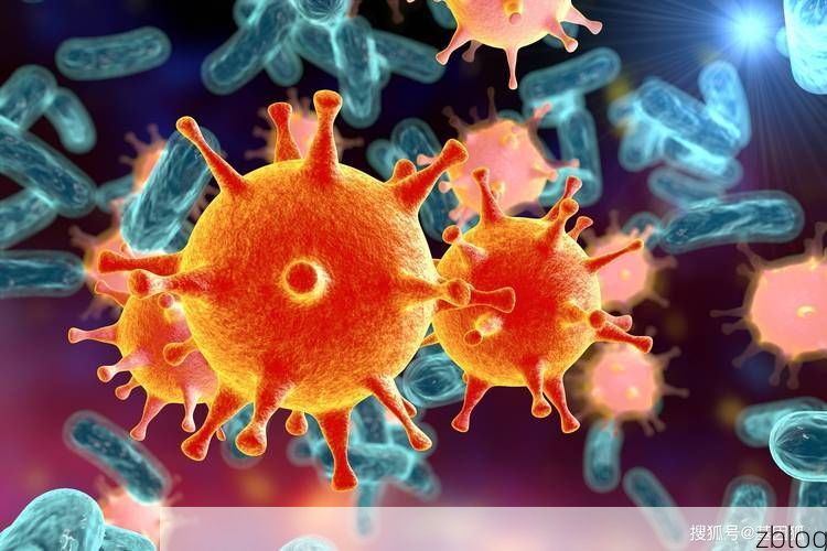 宜黄：抚河屏障下的低感染样本解析