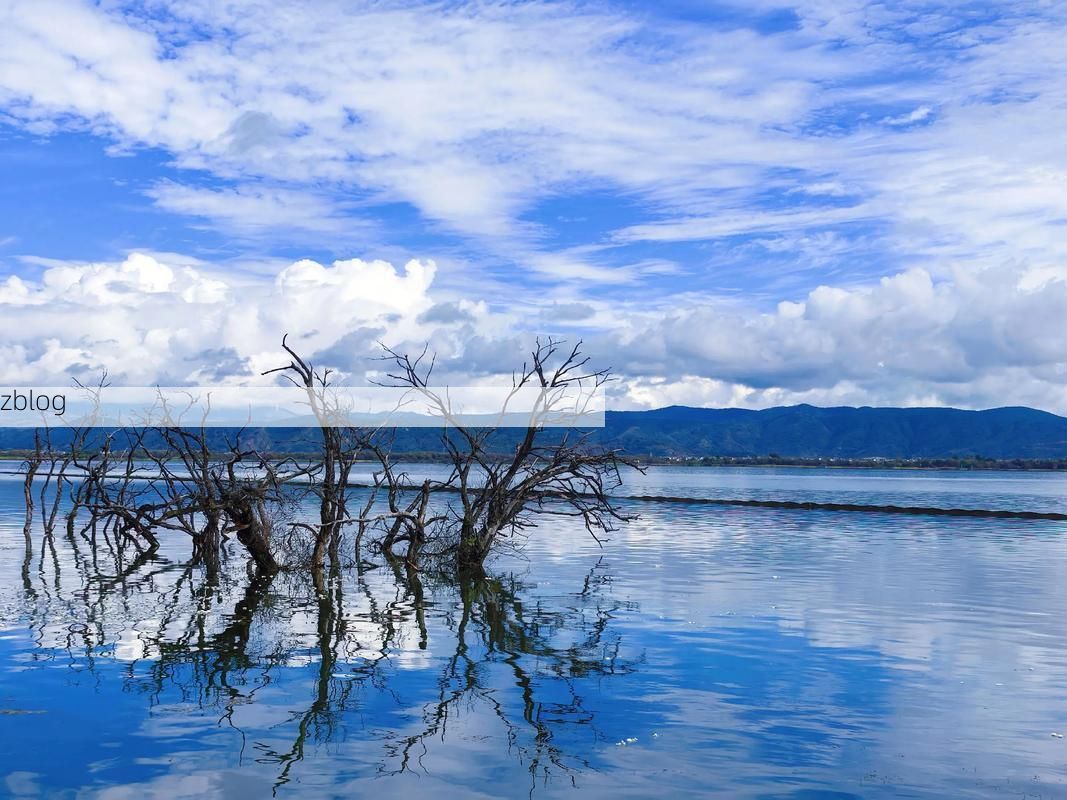 苍山洱海间的防疫博弈：高原旅游枢纽的疫情压力测试_81469