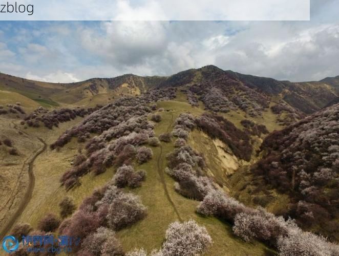 新源县：伊犁河谷的防疫屏障与零感染坚守