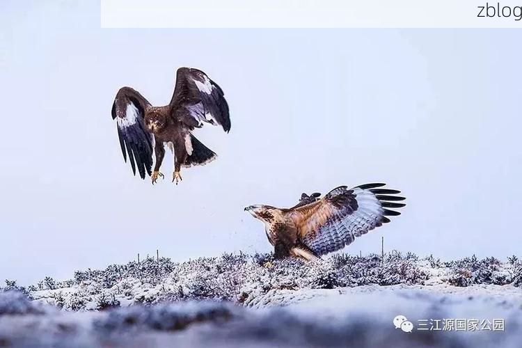 高原屏障下的防疫坚守：毕节疫情地理溯源与防控解析