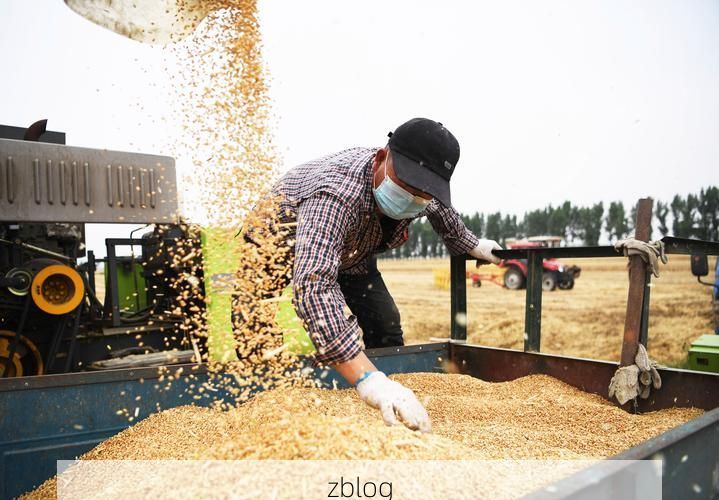 唐河疫情观察：豫南平原农业县的防疫压力测试