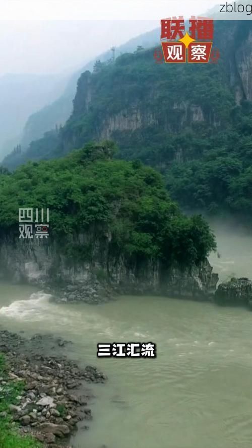 乐山：三江汇流处的疫情防线与破防时刻