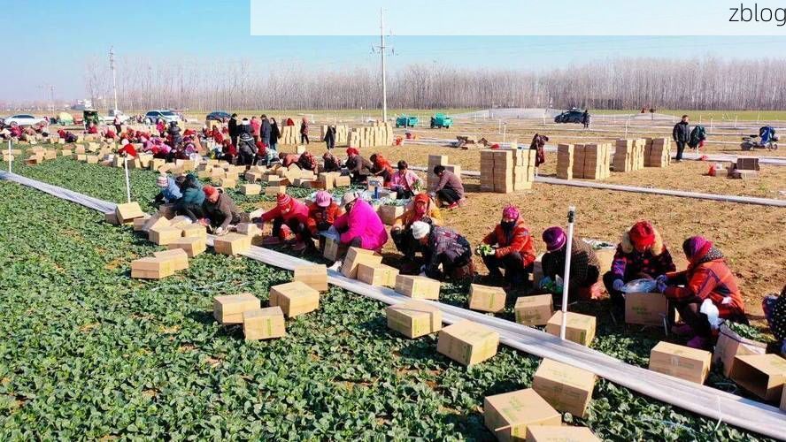 扶沟县：豫东平原上的疫情围城与地理突围