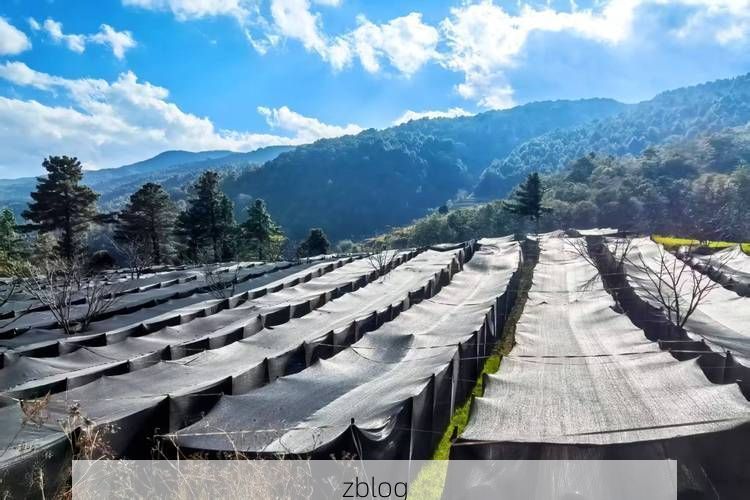 2022年3月15日昌宁新增确诊病例情况_94171