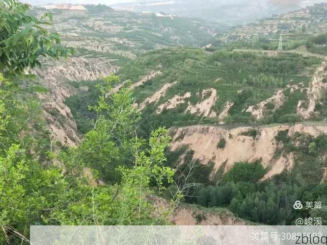 合水防疫观察：黄土高原沟壑区如何阻断病毒传播链？