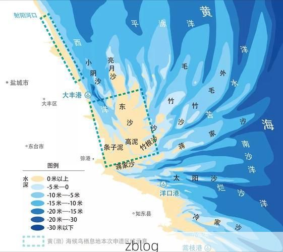 射阳：黄海湿地屏障下的低感染率样本