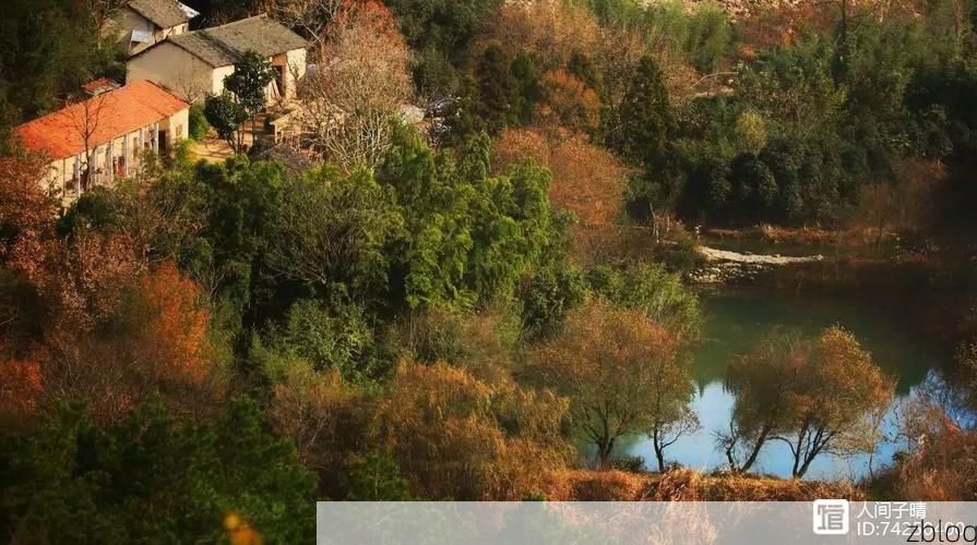 罗山：豫南交通枢纽的疫情破防与地理屏障失效