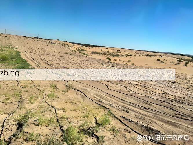 白云矿区：草原工业飞地的疫情防波堤_93030