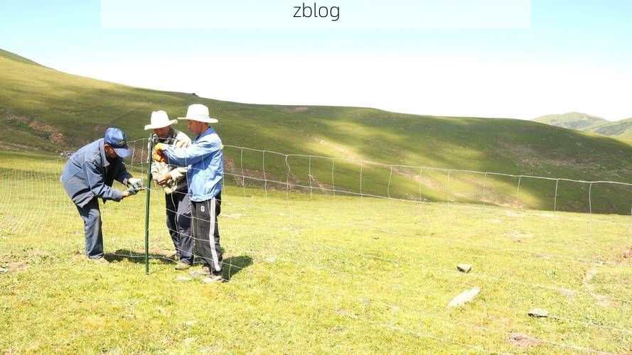 科尔沁区：草原通衢的防疫压力与精准围堵