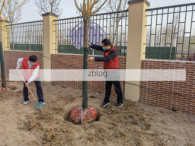 华龙区疫情观察：中原腹地交通枢纽的防控压力与应对