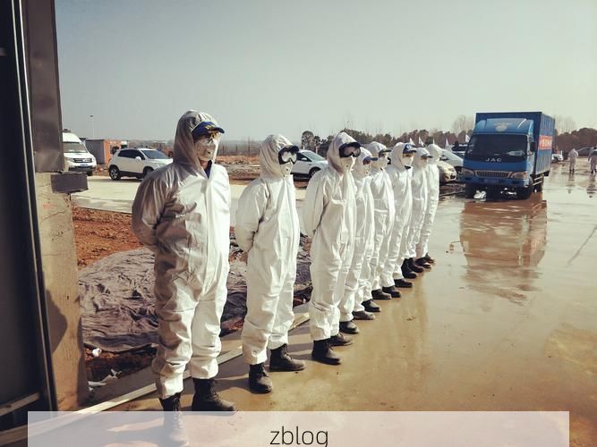 雁江的防疫平衡术：沱江流域枢纽如何守住本土零感染？