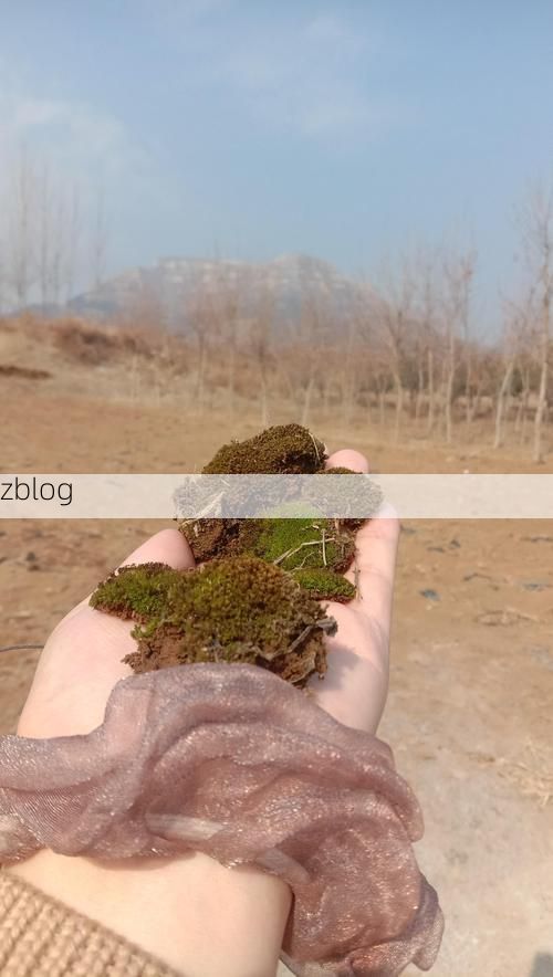 上林：十万大山环抱下的疫情低发区观察