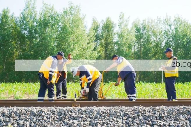 闸北区：铁路枢纽与老旧社区交织下的防疫挑战