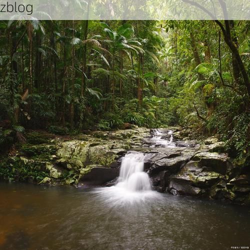 保亭：热带雨林屏障下的零感染坚守_75358