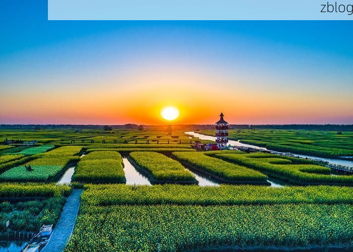 兴化水网：地理屏障下的低感染样本解析_90492