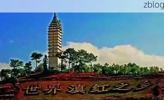 凤庆：滇西绿海屏障下的零感染坚守