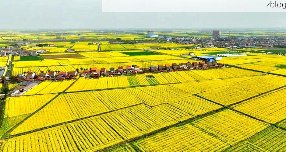 沙洋县：江汉平原腹地的零感染坚守_44432