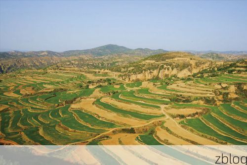 王益区：黄土台塬屏障下的社区防控样本