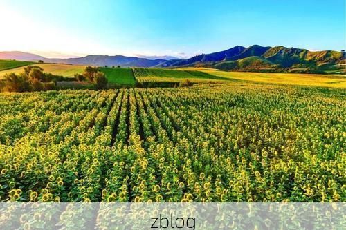 高原门户的防疫坚守：伊金霍洛旗的零感染地理逻辑