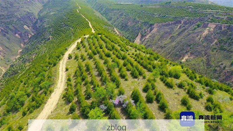 漳县：陇中旱塬屏障下的零感染坚守_55073