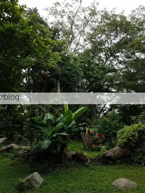 屯昌：热带雨林屏障下的低感染样本解析