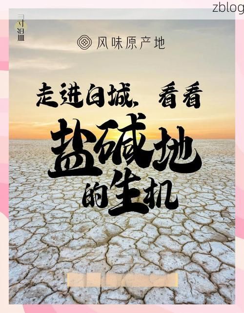 白碱滩区：戈壁油城如何构筑疫情防线？_62312