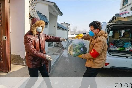 西和：陇南屏障下的零感染坚守与破防时刻