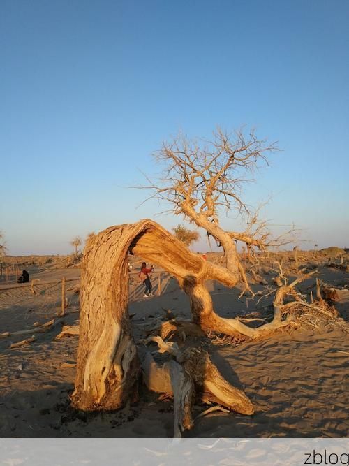 白沙黎族自治县：热带雨林屏障下的零感染坚守_42831