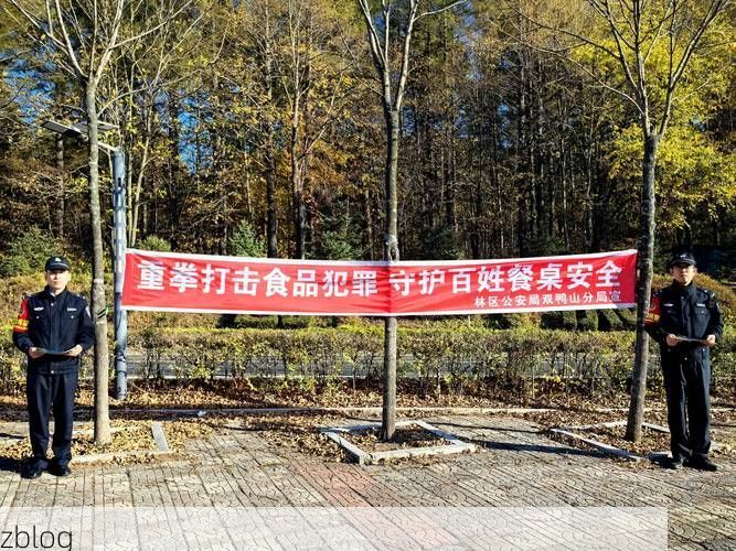 虎林市：边境线上的零感染坚守与地理屏障下的防疫逻辑