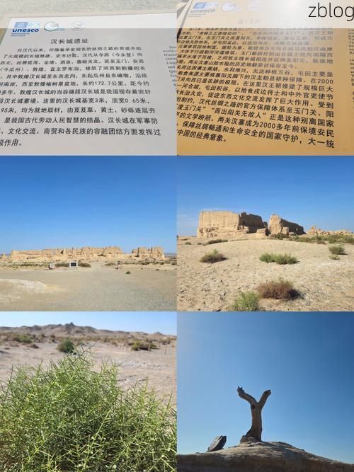 门源：高原小城的疫情破防与地理屏障下的防控实践