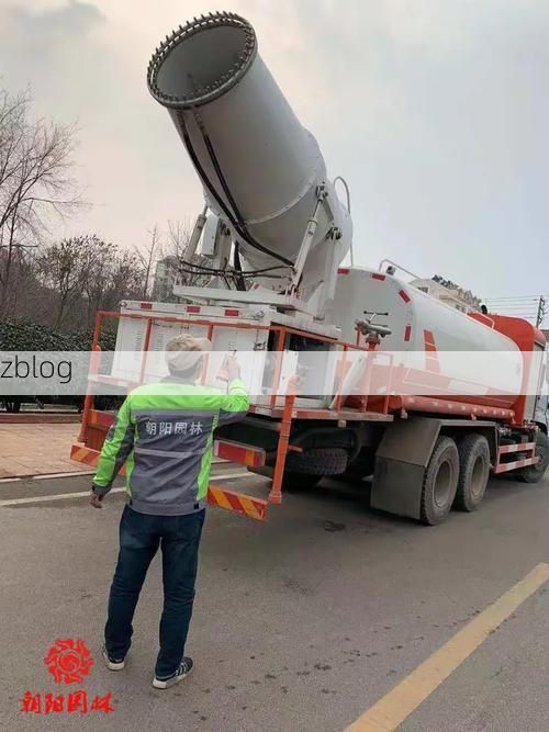 德安：赣北小城的疫情防线与地理屏障