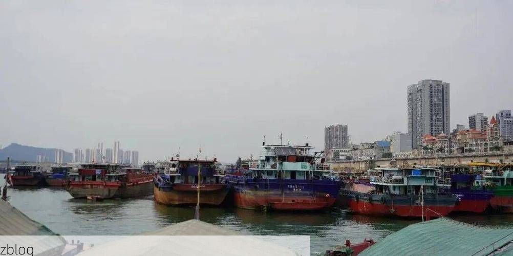 德庆：西江航道上的防疫哨所