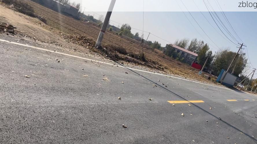 深泽县疫情观察：华北平原腹地的防控样本