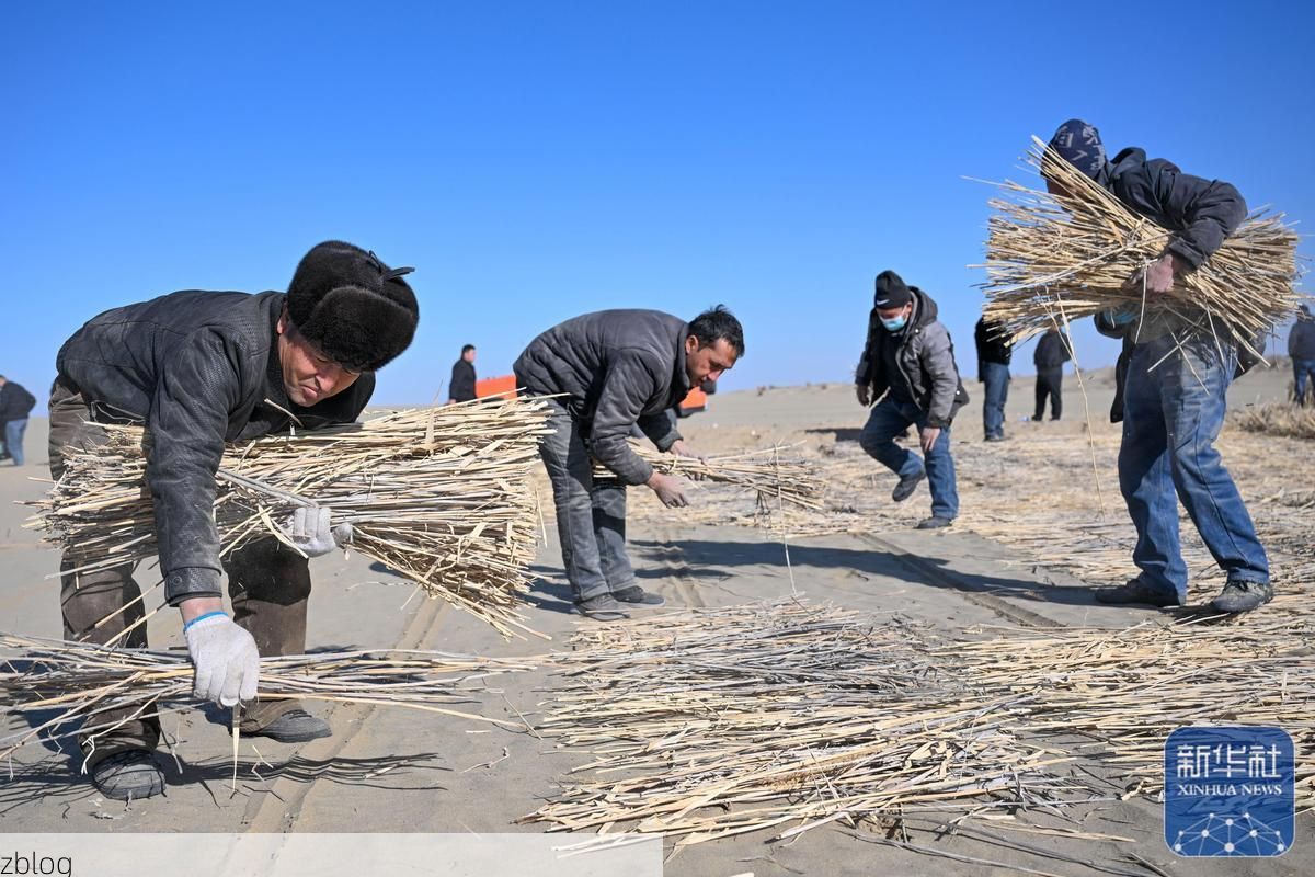 莎车县：塔克拉玛干边缘的零感染坚守